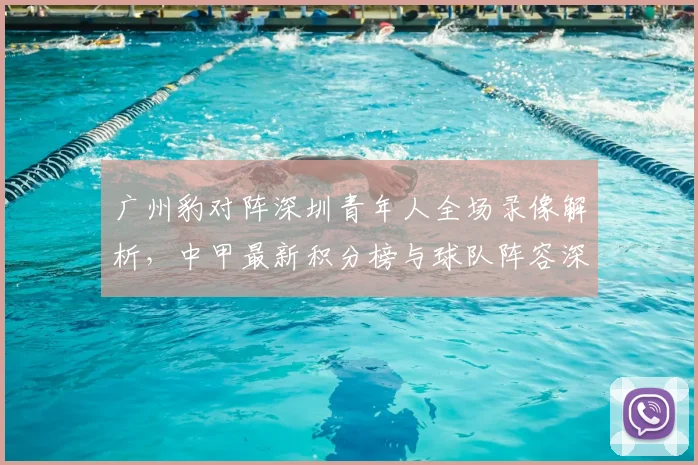 广州豹对阵深圳青年人全场录像解析,中甲最新积分榜与球队阵容深度解读