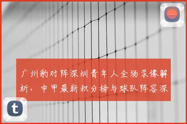 广州豹对阵深圳青年人全场录像解析,中甲最新积分榜与球队阵容深度解读